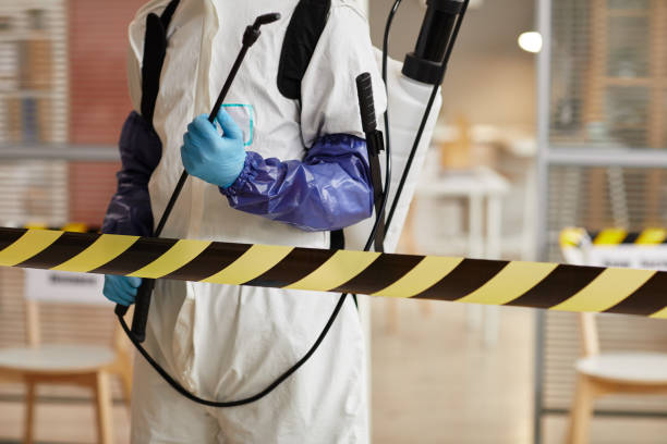 Professional Biohazard technician working in High Ridge, MO